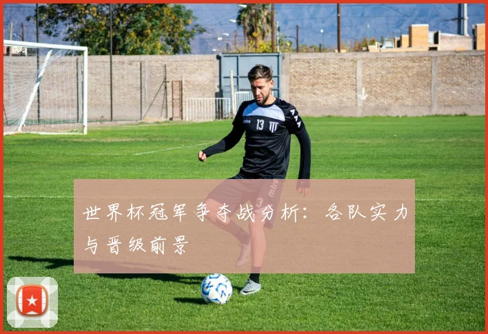 世界杯冠军争夺战分析:各队实力与晋级前景